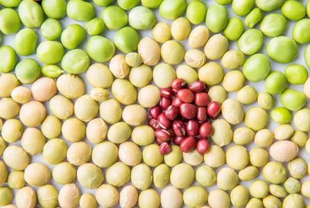 抗癌蔬菜-豆类