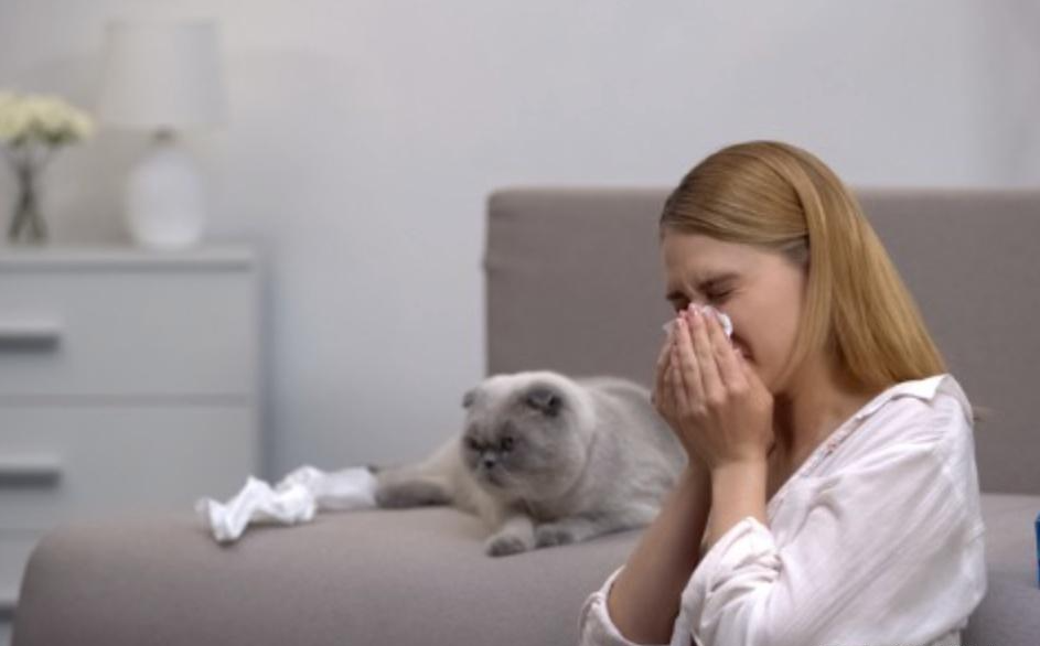 孕妇猫咪高敏呼吸道房间如何除甲醛？